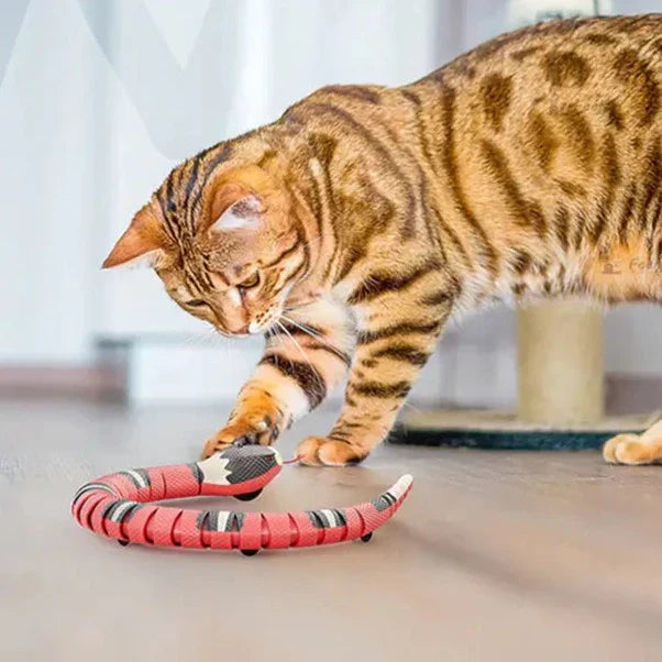 Smart Sensing Interaktives Schlangenspielzeug für Katzen und kleine Hunde