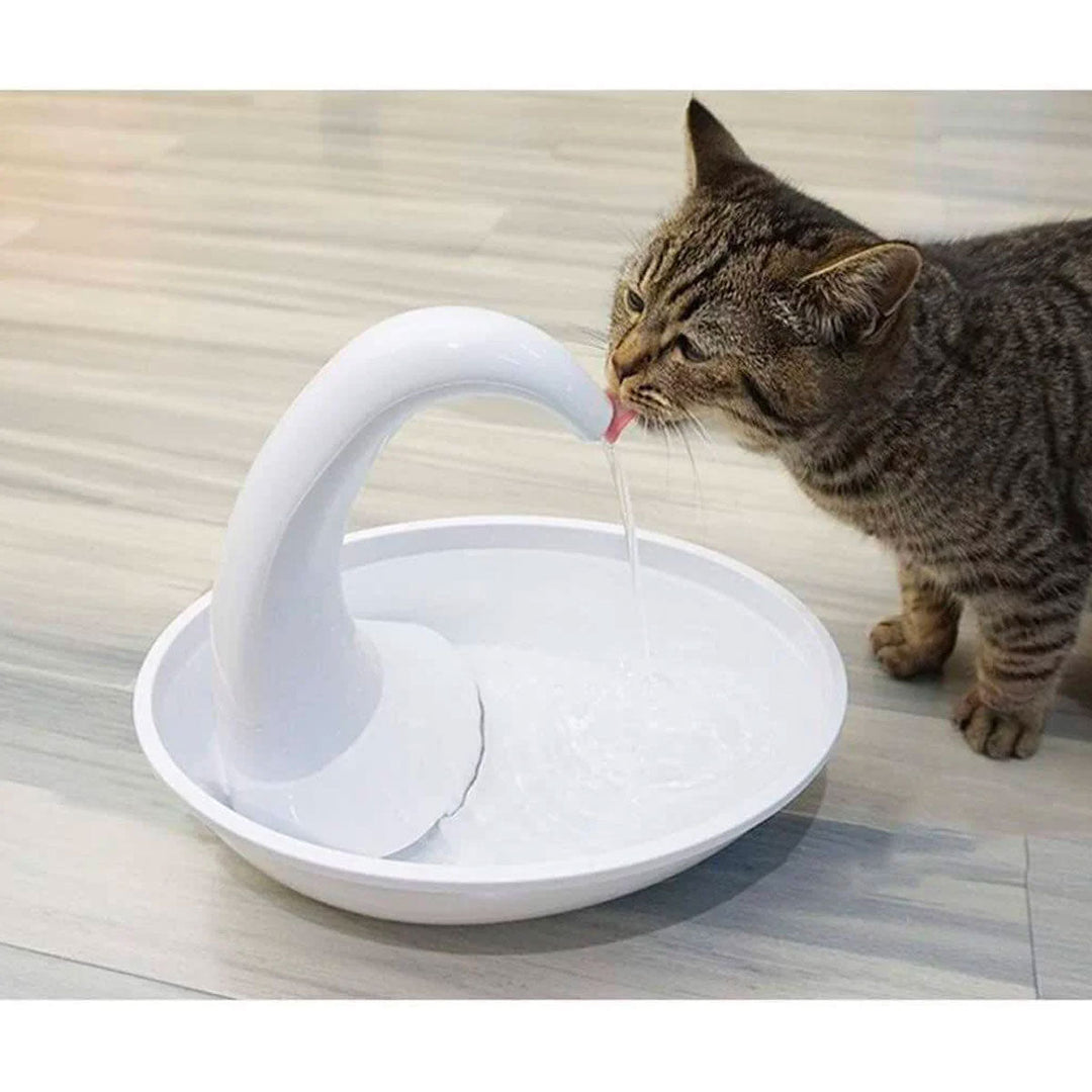 Prämie Automatischer Katzenwasserbrunnen