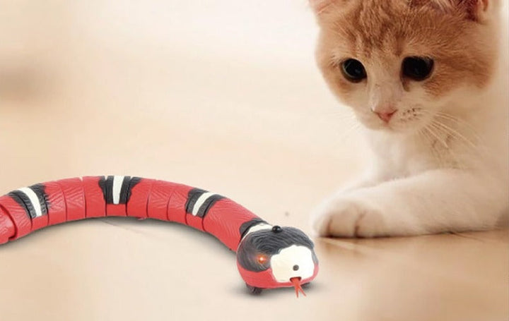 Smart Sensing Interaktives Schlangenspielzeug für Katzen und kleine Hunde