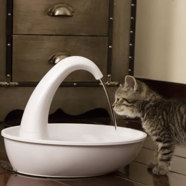 Prämie Automatischer Katzenwasserbrunnen