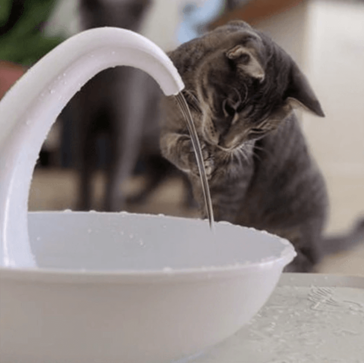 Prämie Automatischer Katzenwasserbrunnen