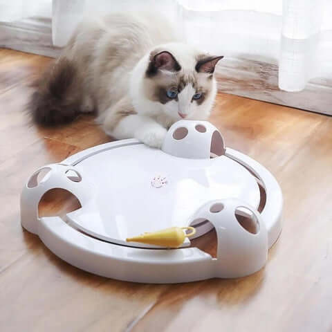 Interaktives Automatisches Pounce Katzenspielzeug