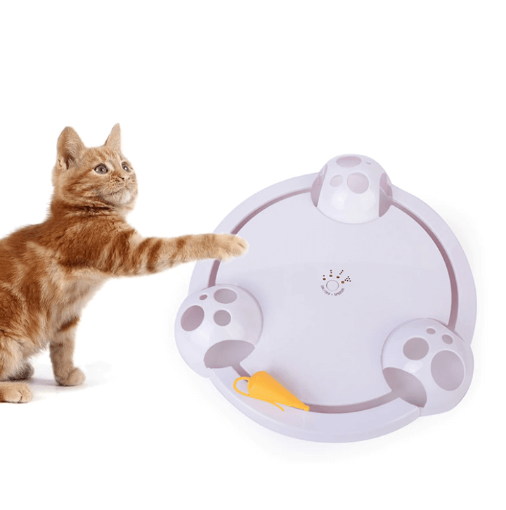 Interaktives Automatisches Pounce Katzenspielzeug