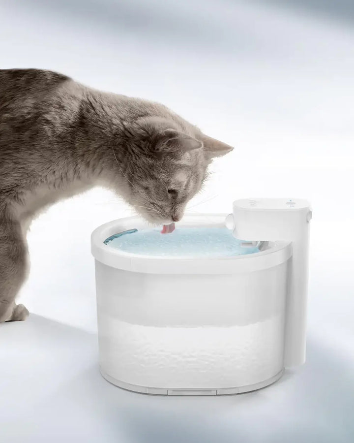 Intelligenter Sensor Automatischer Katzenwasserbrunnen