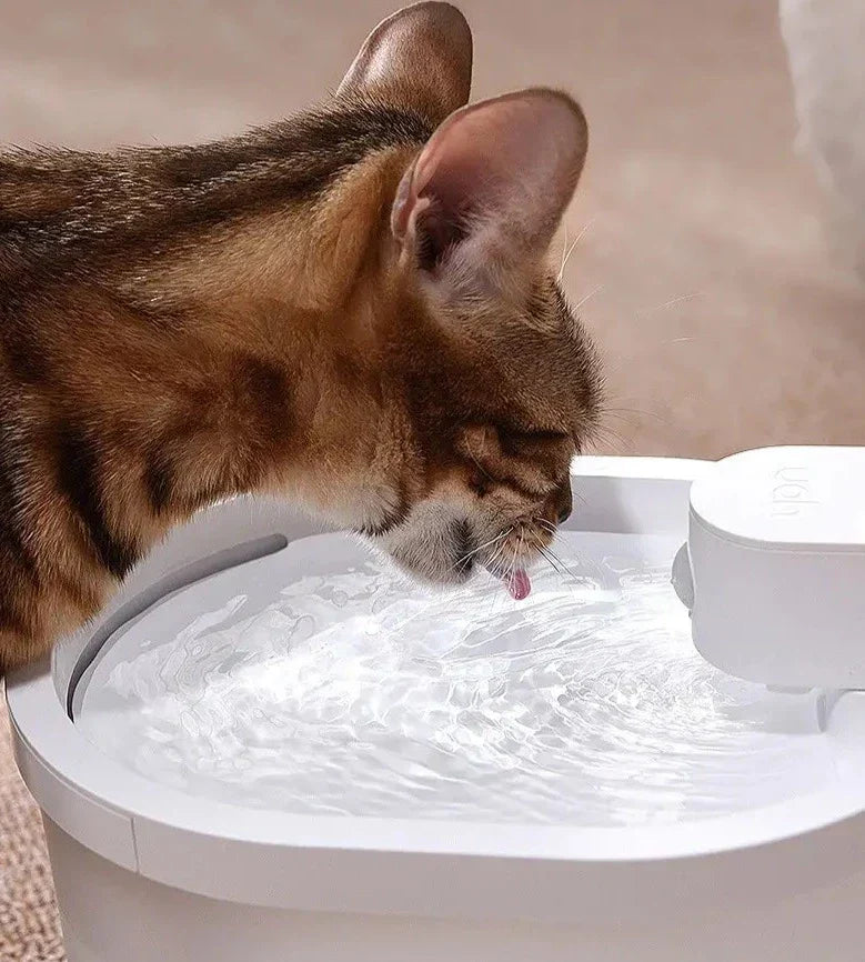 Intelligenter Sensor Automatischer Katzenwasserbrunnen