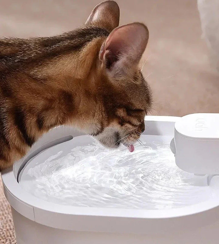 Intelligenter Sensor Automatischer Katzenwasserbrunnen