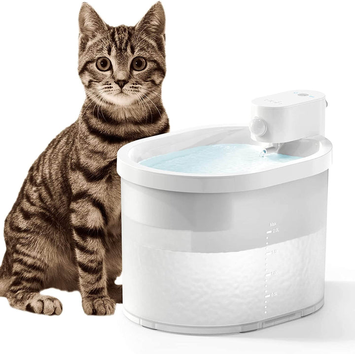 Intelligenter Sensor Automatischer Katzenwasserbrunnen