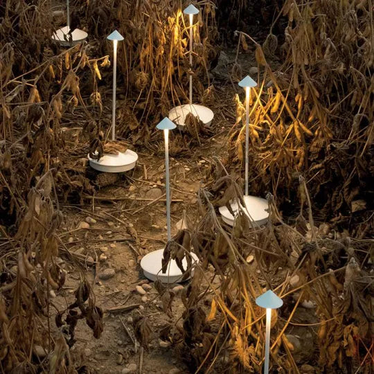 Stolja | Kabellose und Wiederaufladbare LED Tischlampe